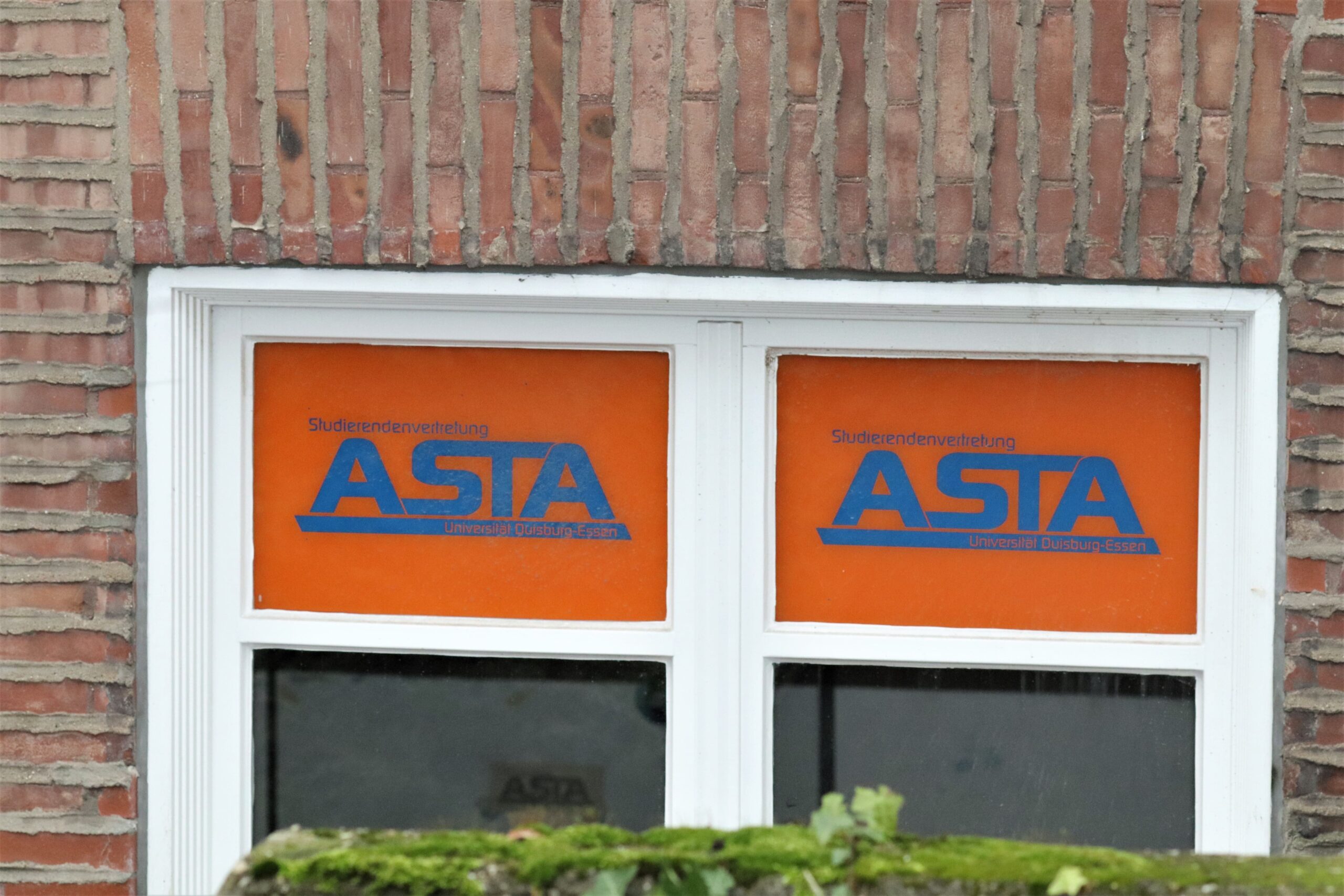 Für mehr Austausch am Campus: der AStA der UDE wurde neu gewählt