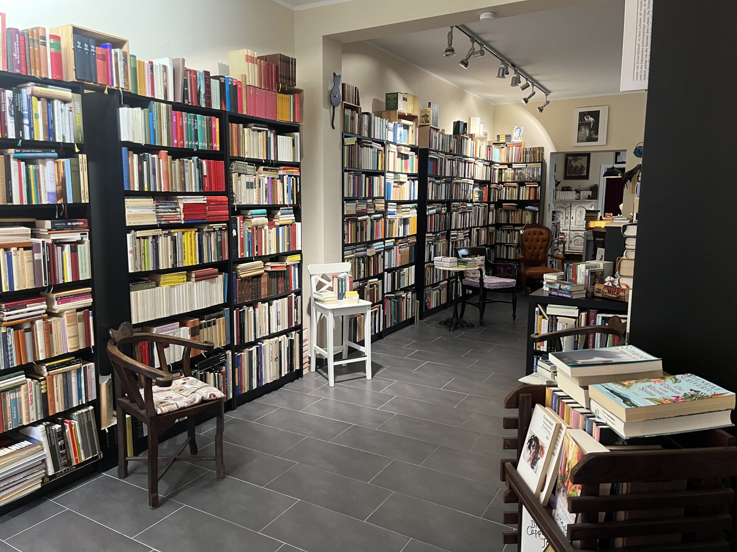 Hidden Gem: le chat qui lit in Dortmund