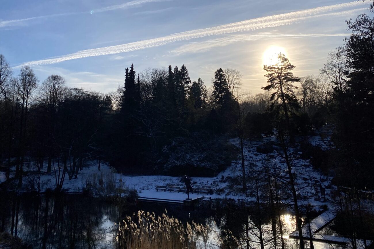 Top of the Week 05. bis 11. Januar 2026