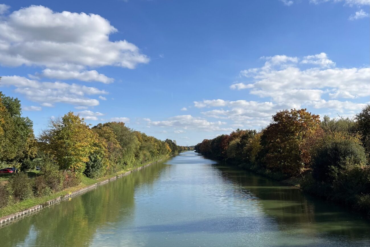 Top of the Week 02. bis 08. Februar 2026