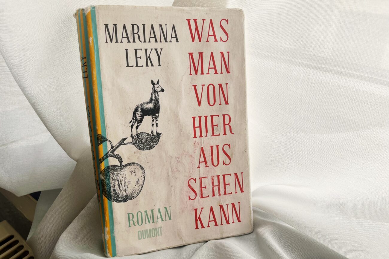 Buchtipp: Was man von hier aus sehen kann von Mariana Leky