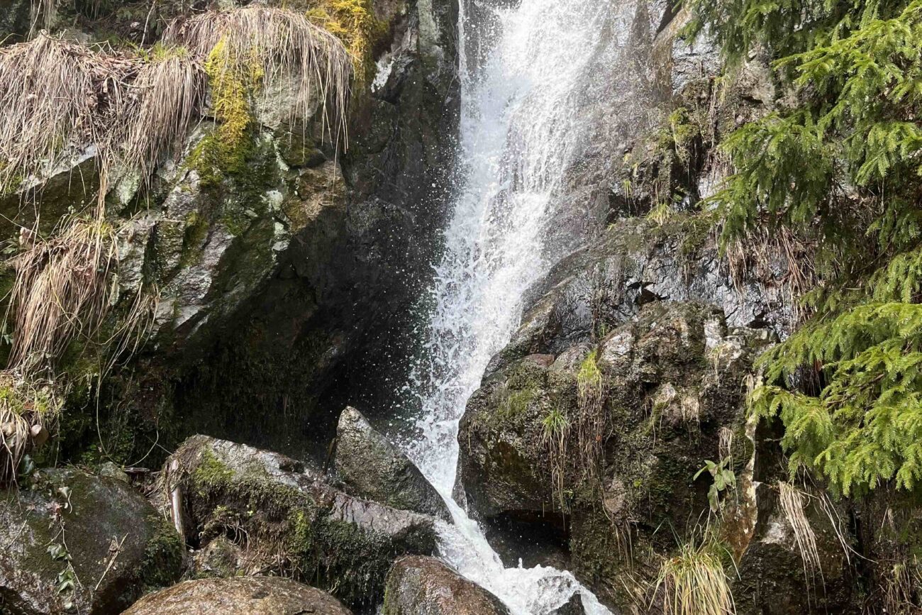 So viel Wasser kostet dein ChatGPT Prompt