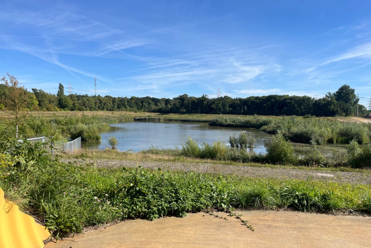 Top of the Week 23. bis 29. März 2026