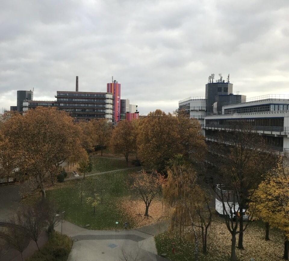 Top of the Week 21. September bis 27. September  